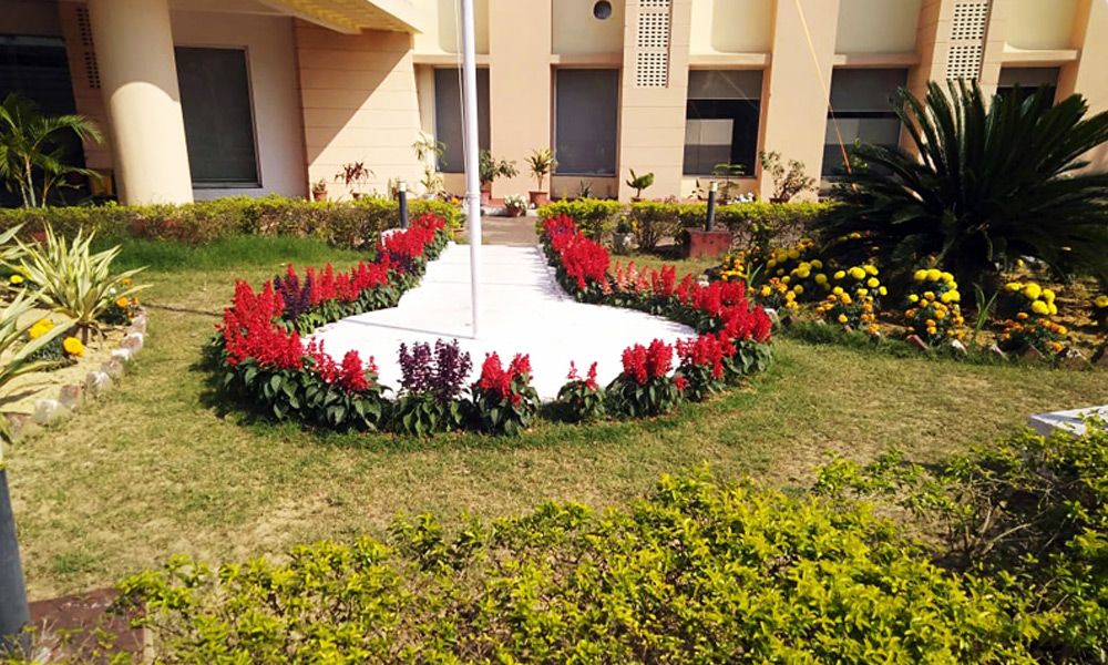 Business inquiry and customer support assistance 