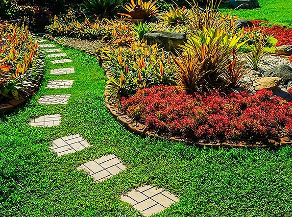 Horticulture and softscape landscaping services in Kolkata