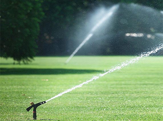 Landscape irrigation system with drip and sprinkler setup