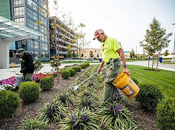 Garden maintenance and landscaping care services