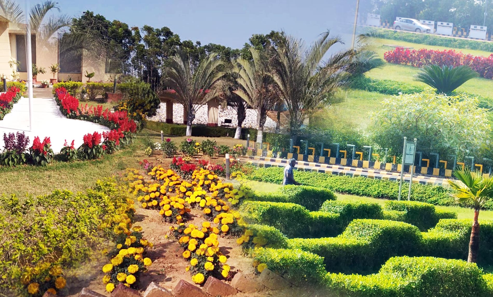 Landscaping and garden design