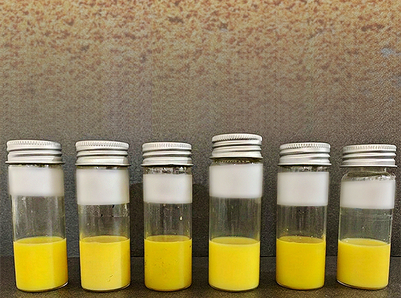 Lutein raw material processing and extraction in India