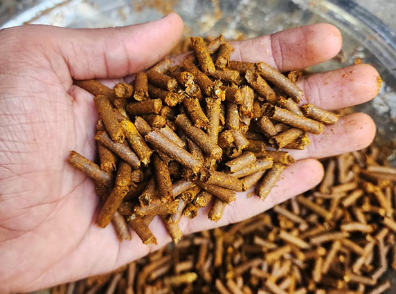 High quality lutein manufacturing and processing unit